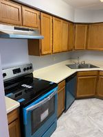 Pre-foreclosure in  N RIVER RD A Mount Prospect, IL 60056