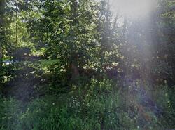 Pre-foreclosure in  TAMMANY HALL RD Carmel, NY 10512