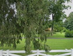 Pre-foreclosure in  CORNWALL HILL RD Patterson, NY 12563