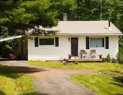 Pre-foreclosure Listing in MAIL ROUTE RD PRATTSVILLE, NY 12468