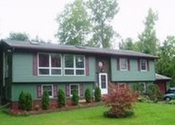 Pre-foreclosure Listing in N VERNON ST ATHENS, NY 12015