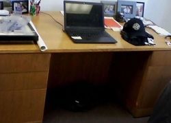 Pre-foreclosure in  NORTH AVE New Rochelle, NY 10801