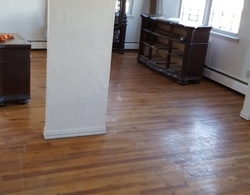 Pre-foreclosure in  THOMAS S BOYLAND ST Brooklyn, NY 11236