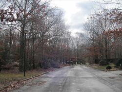 Pre-foreclosure in  HASTINGS DR Ridge, NY 11961