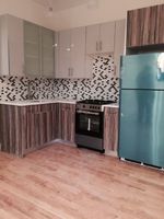 Pre-foreclosure in  DECATUR ST Brooklyn, NY 11233
