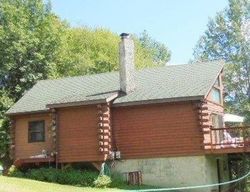 Pre-foreclosure Listing in FORD HILL RD HUNTER, NY 12442