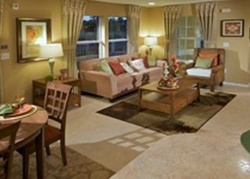 Pre-foreclosure Listing in BILTMORE WAY ORANGE PARK, FL 32065