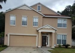 Pre-foreclosure in  WOOD STORK TRL Orange Park, FL 32073