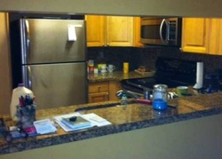 Pre-foreclosure in  SW 123RD CT  Miami, FL 33186