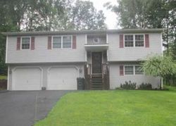 Pre-foreclosure Listing in TOMMYS CT DRUMS, PA 18222