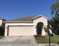  Lady Palm Ct, New Port Richey FL