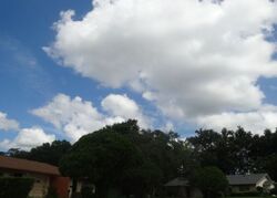 Pre-foreclosure in  PIPESTONE CT Orlando, FL 32818