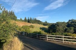  Spring Ln, Newcastle CA