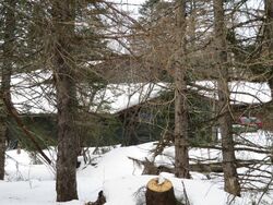 Pre-foreclosure in  E PIKE LAKE RD Duluth, MN 55811