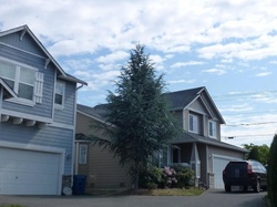 Pre-foreclosure in  SE 286TH CT Kent, WA 98042