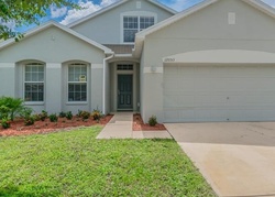 Pre-foreclosure in  FALL CREEK CT Hudson, FL 34669
