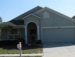  Coldwater Loop, Land O Lakes FL