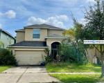 Pre-foreclosure in  MORGONS CASTLE CT Land O Lakes, FL 34638