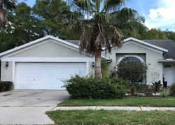Pre-foreclosure in  PAINTER DR Land O Lakes, FL 34639