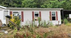 Pre-foreclosure in  INEZ RD Whiteside, TN 37396