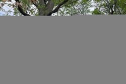 Pre-foreclosure in  SAINT ANTHONY AVE Saint Paul, MN 55104