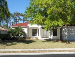 Pre-foreclosure in  LITTLE COUNTRY RD Parrish, FL 34219