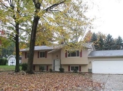 Pre-foreclosure Listing in ALTHEA DR PAINESVILLE, OH 44077