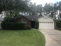 Pre-foreclosure in  TOWER OAKS DR Orange Park, FL 32065