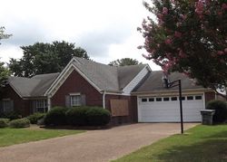Pre-foreclosure in  SANDYWOOD LN Memphis, TN 38133