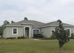 Pre-foreclosure Listing in 82ND AVE E MYAKKA CITY, FL 34251