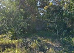 Pre-foreclosure in  RICHTER ST Dunedin, FL 34698