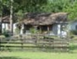 Pre-foreclosure in  NE 140TH AVE Williston, FL 32696