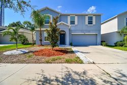 Pre-foreclosure Listing in KEARSNEY ABBEY CIR DOVER, FL 33527