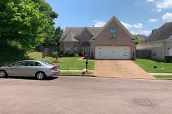 Pre-foreclosure in  NEYLAND VALLEY DR Memphis, TN 38135