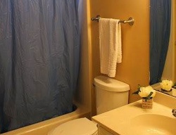 Pre-foreclosure in  CARLYLE ST Goose Creek, SC 29445