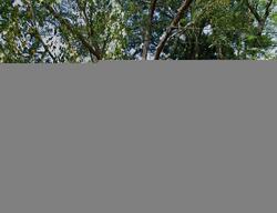 Pre-foreclosure in  MAPLE STREAM RD Hightstown, NJ 08520