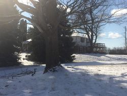 Pre-foreclosure in  BRAUER RD Oxford, MI 48371