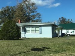 Pre-foreclosure Listing in W VIVIAN DR HASTINGS, FL 32145