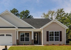 Pre-foreclosure in  KEEGAN ROCK CT Lexington, SC 29073