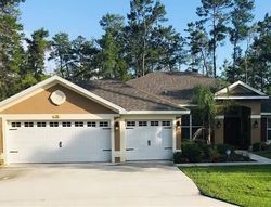 Pre-foreclosure in  TALL MARIGOLDS CT Homosassa, FL 34446