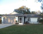 Pre-foreclosure in  NORTHFIELD PL Land O Lakes, FL 34639