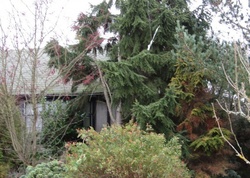 Pre-foreclosure in  30TH AVE NW Seattle, WA 98117