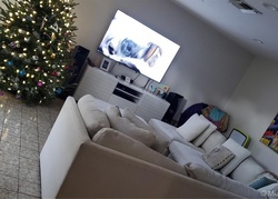 Pre-foreclosure in  SW 93RD PL Miami, FL 33174