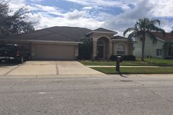 Pre-foreclosure in  CARLINGTON LN Riverview, FL 33579