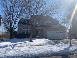 Pre-foreclosure in  MCKENZIE CT Lake Villa, IL 60046
