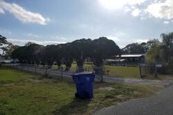 Pre-foreclosure in  GRAPE LN Lake Placid, FL 33852