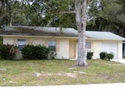 Pre-foreclosure Listing in HARRY T MOORE AVE MIMS, FL 32754
