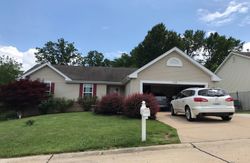 Pre-foreclosure Listing in BELMONT CT FESTUS, MO 63028