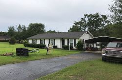 Pre-foreclosure Listing in MCDAVID DR THEODORE, AL 36582