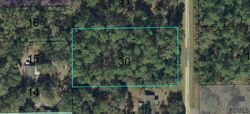 Pre-foreclosure in  SANDLEWOOD LN Bunnell, FL 32110